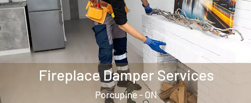  Fireplace Damper Services Porcupine - ON