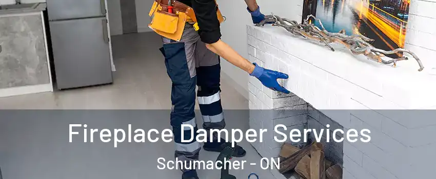  Fireplace Damper Services Schumacher - ON