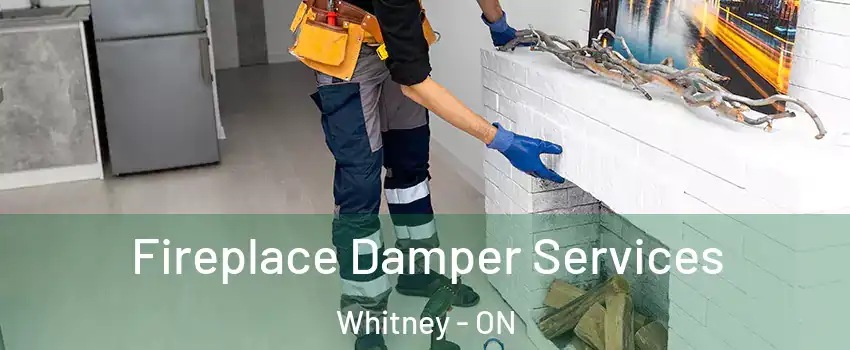  Fireplace Damper Services Whitney - ON