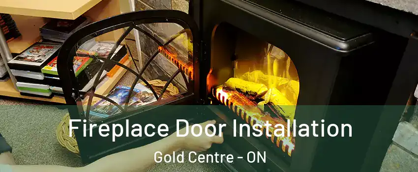  Fireplace Door Installation Gold Centre - ON