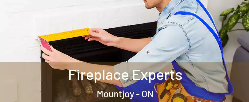  Fireplace Experts Mountjoy - ON