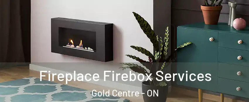  Fireplace Firebox Services Gold Centre - ON