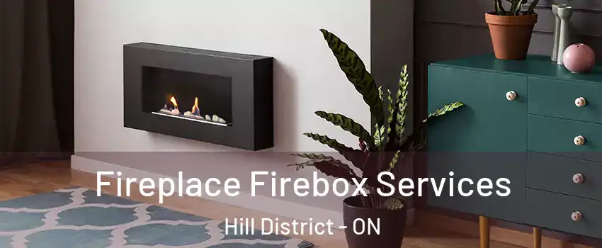  Fireplace Firebox Services Hill District - ON
