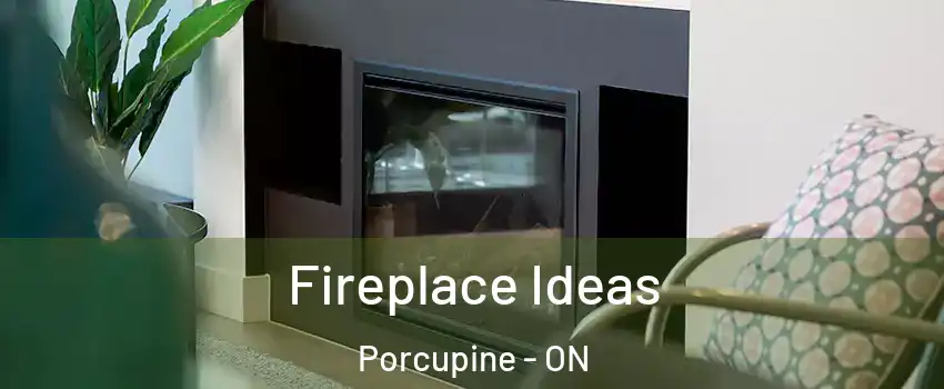  Fireplace Ideas Porcupine - ON