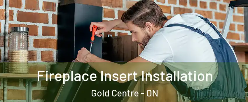 Fireplace Insert Installation Gold Centre - ON