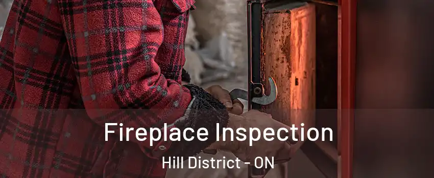  Fireplace Inspection Hill District - ON