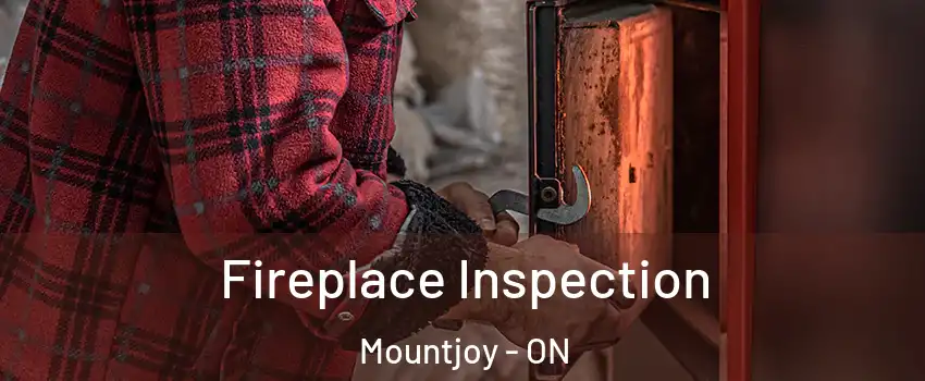  Fireplace Inspection Mountjoy - ON