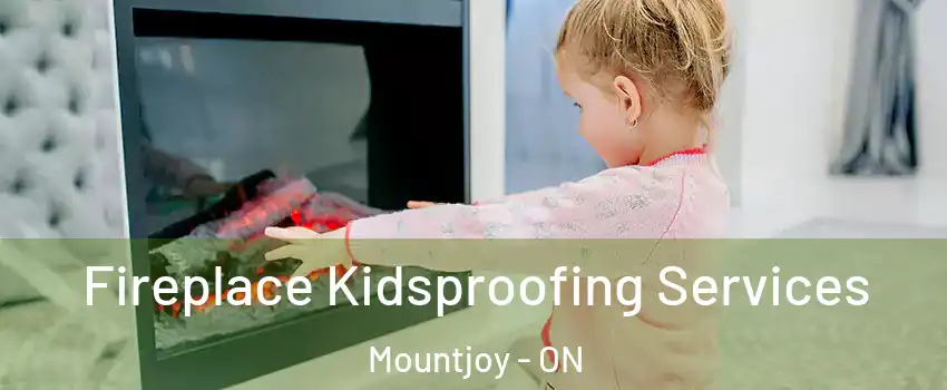  Fireplace Kidsproofing Services Mountjoy - ON
