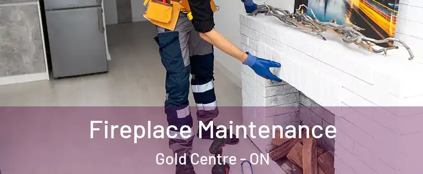  Fireplace Maintenance Gold Centre - ON