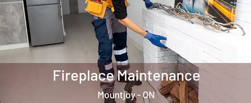  Fireplace Maintenance Mountjoy - ON