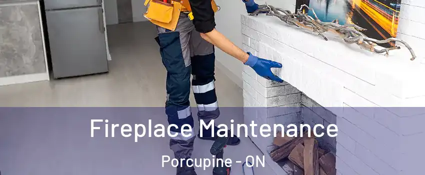  Fireplace Maintenance Porcupine - ON