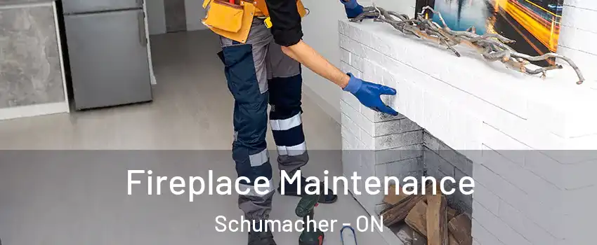  Fireplace Maintenance Schumacher - ON