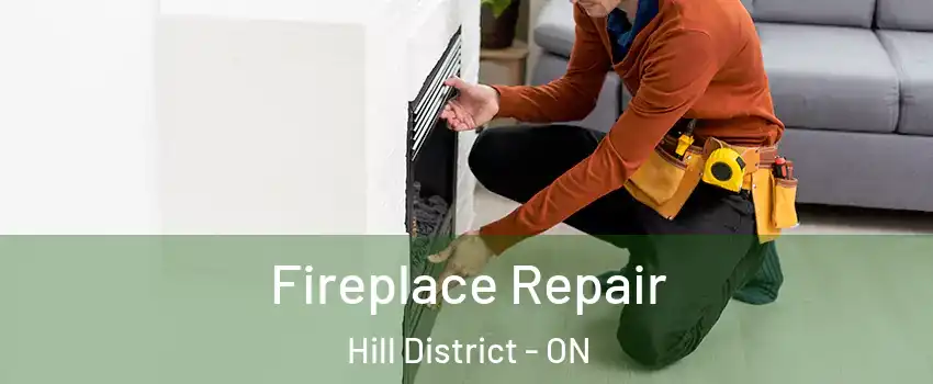  Fireplace Repair Hill District - ON