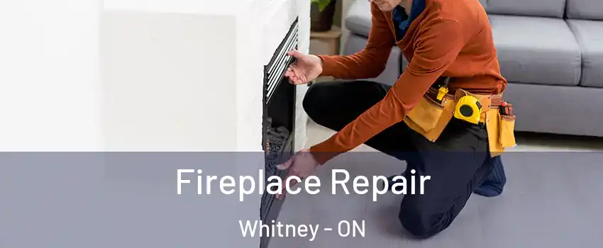  Fireplace Repair Whitney - ON