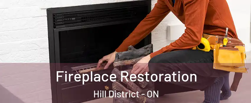 Fireplace Restoration Hill District - ON