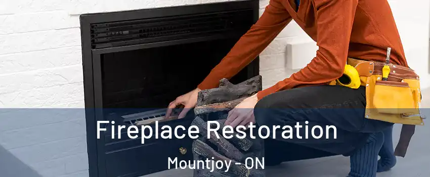  Fireplace Restoration Mountjoy - ON