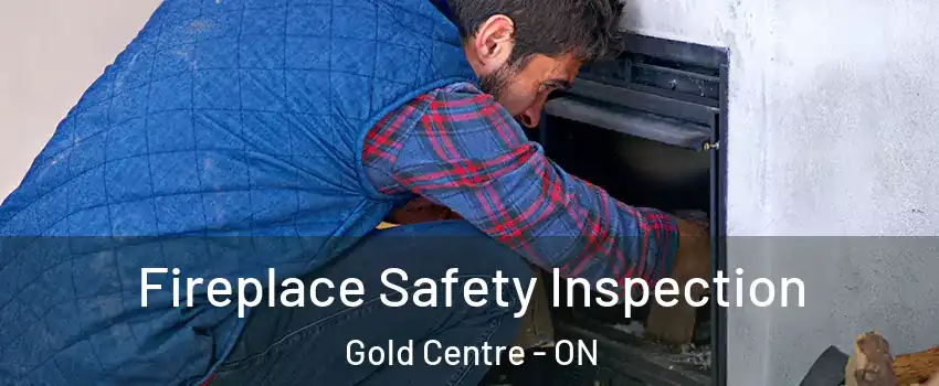  Fireplace Safety Inspection Gold Centre - ON