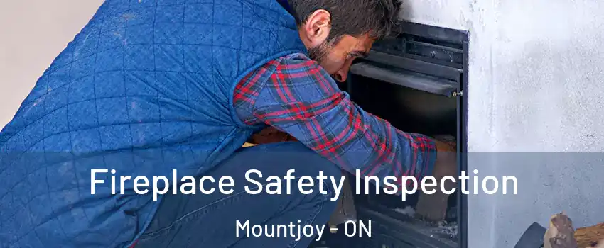  Fireplace Safety Inspection Mountjoy - ON