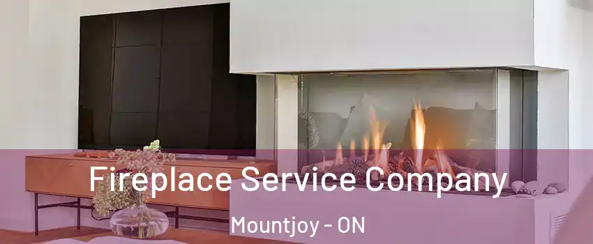  Fireplace Service Company Mountjoy - ON