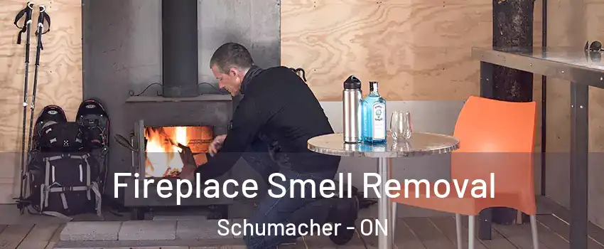  Fireplace Smell Removal Schumacher - ON