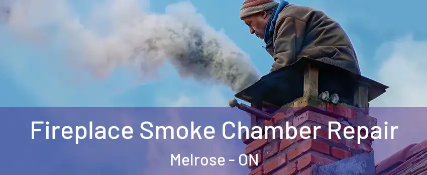  Fireplace Smoke Chamber Repair Melrose - ON