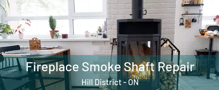  Fireplace Smoke Shaft Repair Hill District - ON