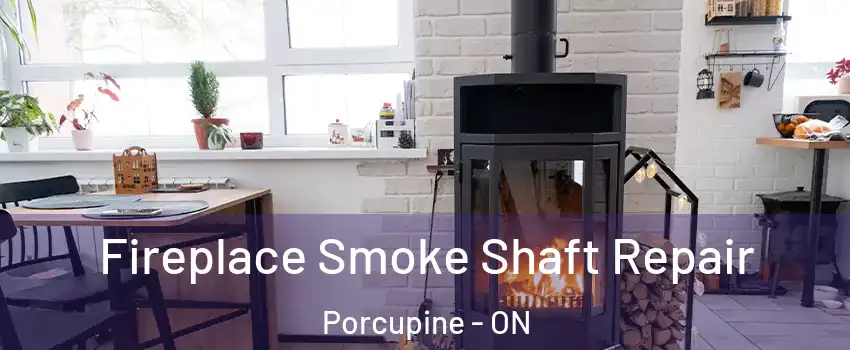  Fireplace Smoke Shaft Repair Porcupine - ON
