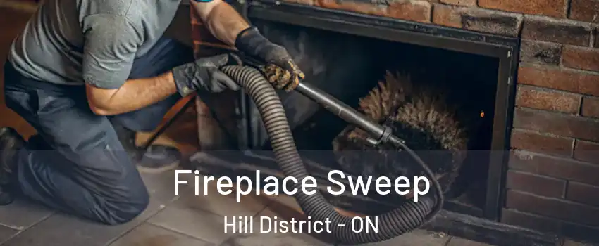  Fireplace Sweep Hill District - ON