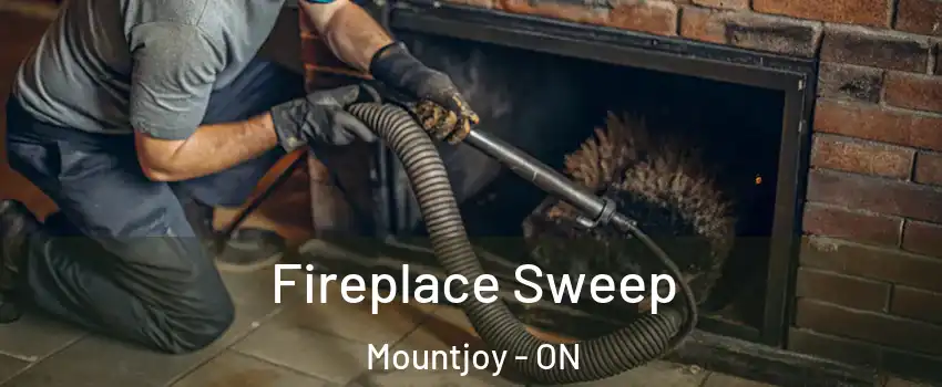  Fireplace Sweep Mountjoy - ON