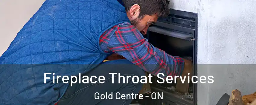  Fireplace Throat Services Gold Centre - ON