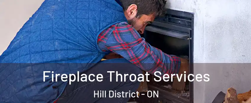  Fireplace Throat Services Hill District - ON