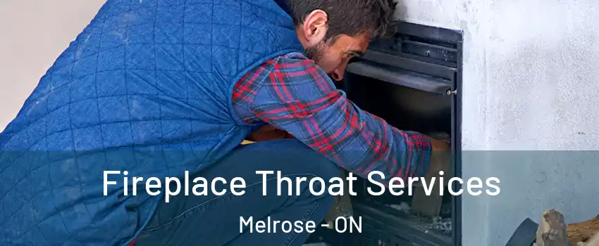  Fireplace Throat Services Melrose - ON