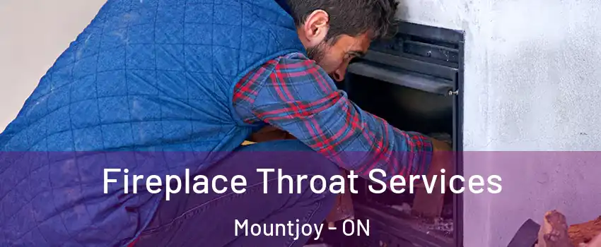  Fireplace Throat Services Mountjoy - ON