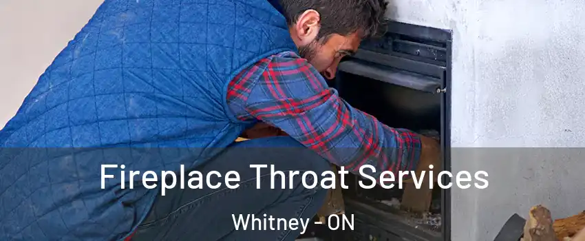  Fireplace Throat Services Whitney - ON