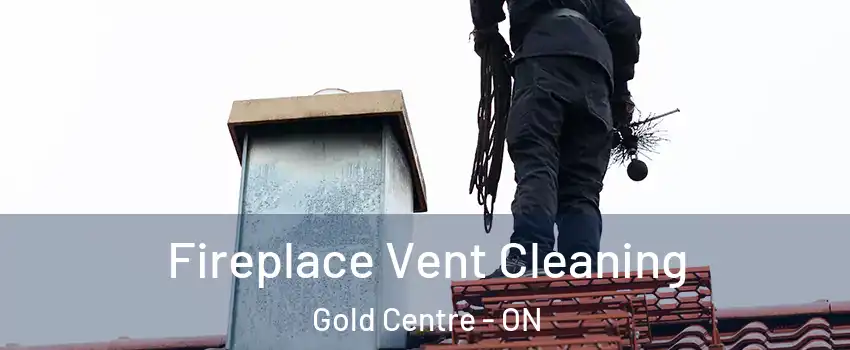  Fireplace Vent Cleaning Gold Centre - ON
