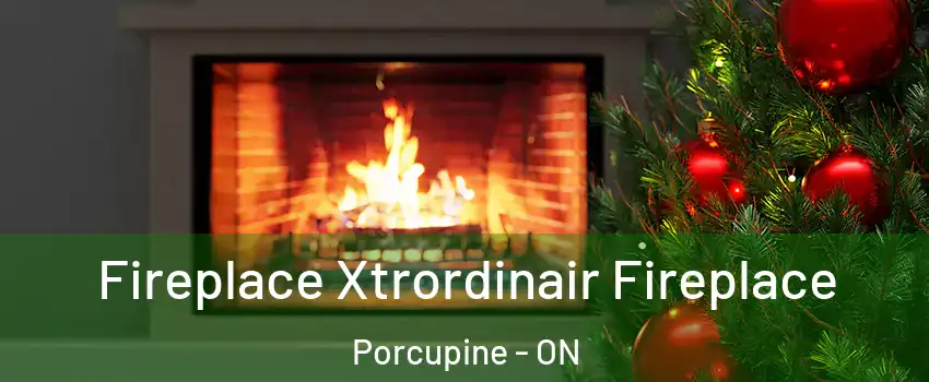  Fireplace Xtrordinair Fireplace Porcupine - ON