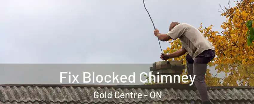  Fix Blocked Chimney Gold Centre - ON