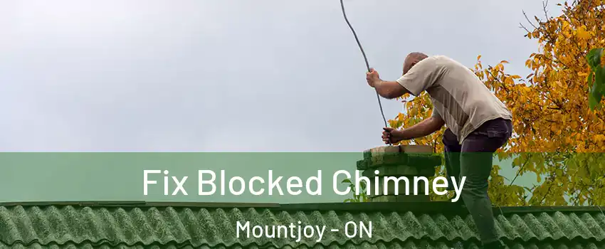  Fix Blocked Chimney Mountjoy - ON