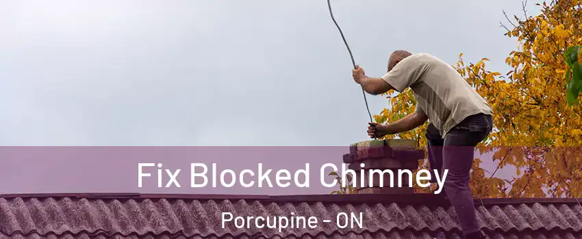  Fix Blocked Chimney Porcupine - ON