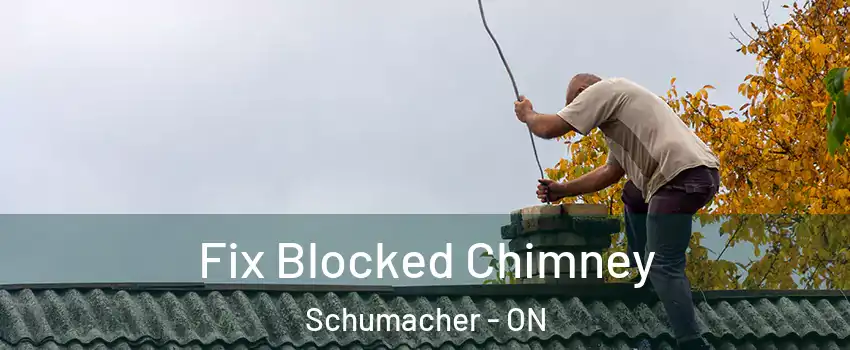  Fix Blocked Chimney Schumacher - ON