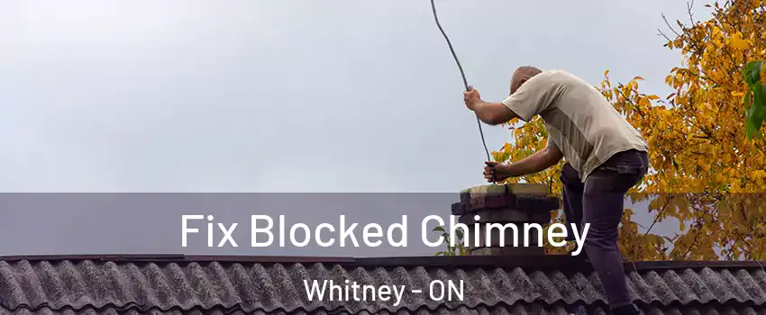  Fix Blocked Chimney Whitney - ON