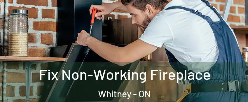  Fix Non-Working Fireplace Whitney - ON