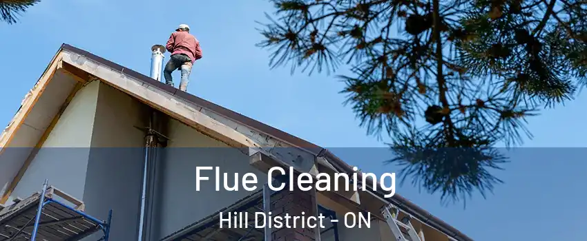  Flue Cleaning Hill District - ON