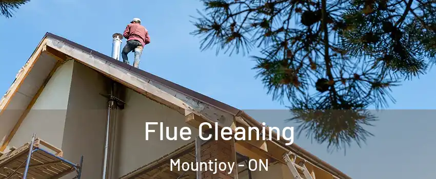  Flue Cleaning Mountjoy - ON