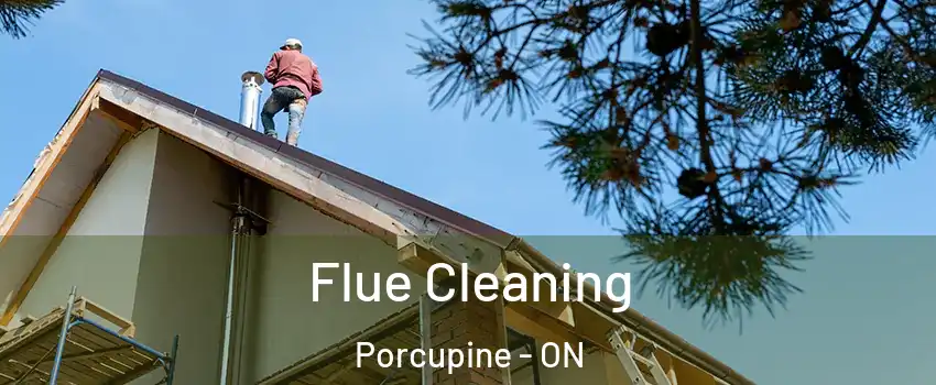  Flue Cleaning Porcupine - ON