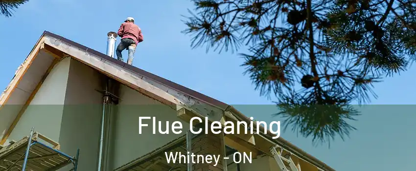  Flue Cleaning Whitney - ON