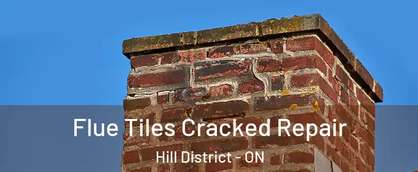  Flue Tiles Cracked Repair Hill District - ON