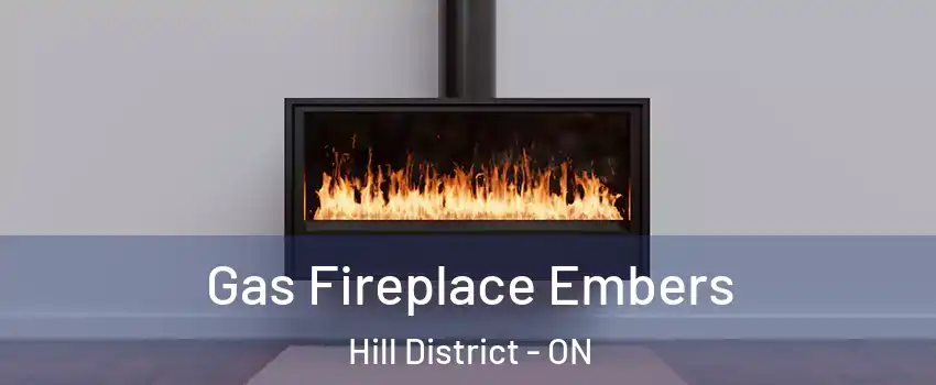  Gas Fireplace Embers Hill District - ON