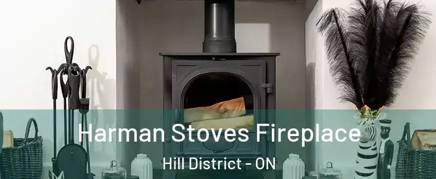  Harman Stoves Fireplace Hill District - ON