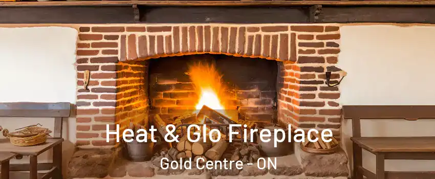  Heat & Glo Fireplace Gold Centre - ON